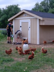 IMG_20180607_1235370